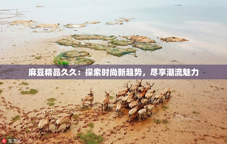 麻豆精品久久：探索时尚新趋势，尽享潮流魅力