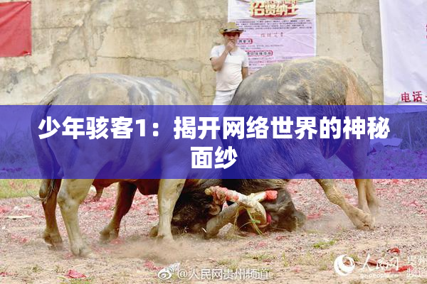 少年骇客1：揭开网络世界的神秘面纱