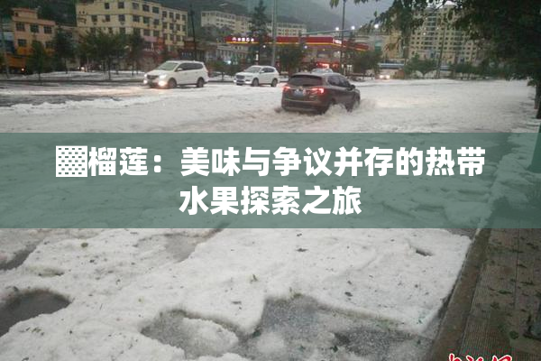 ▓榴莲：美味与争议并存的热带水果探索之旅