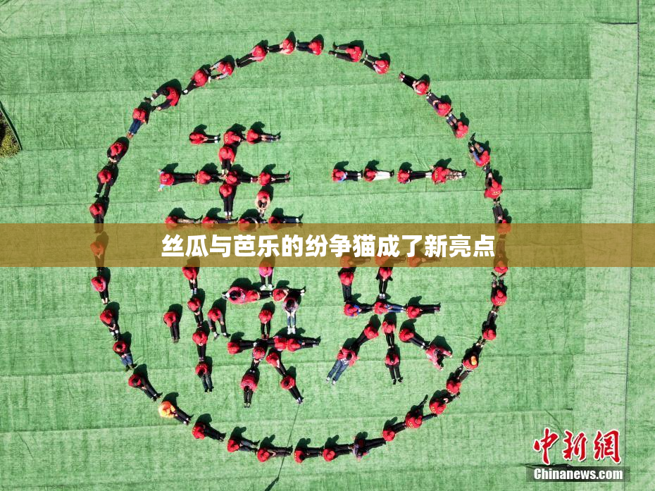 丝瓜与芭乐的纷争猫成了新亮点