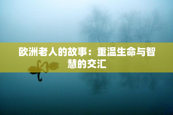 欧洲老人的故事：重温生命与智慧的交汇
