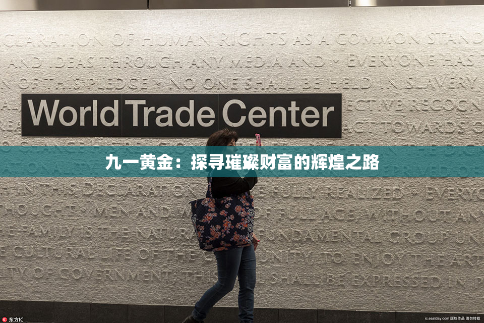 九一黄金：探寻璀璨财富的辉煌之路