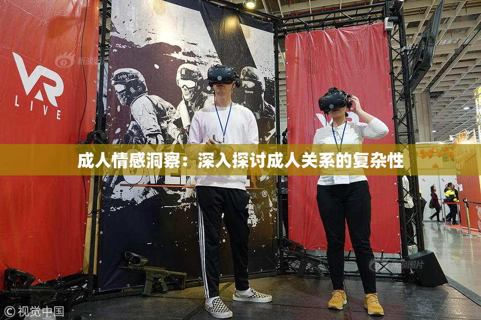 成人情感洞察：深入探讨成人关系的复杂性