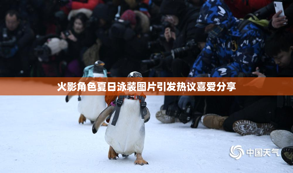 火影角色夏日泳装图片引发热议喜爱分享
