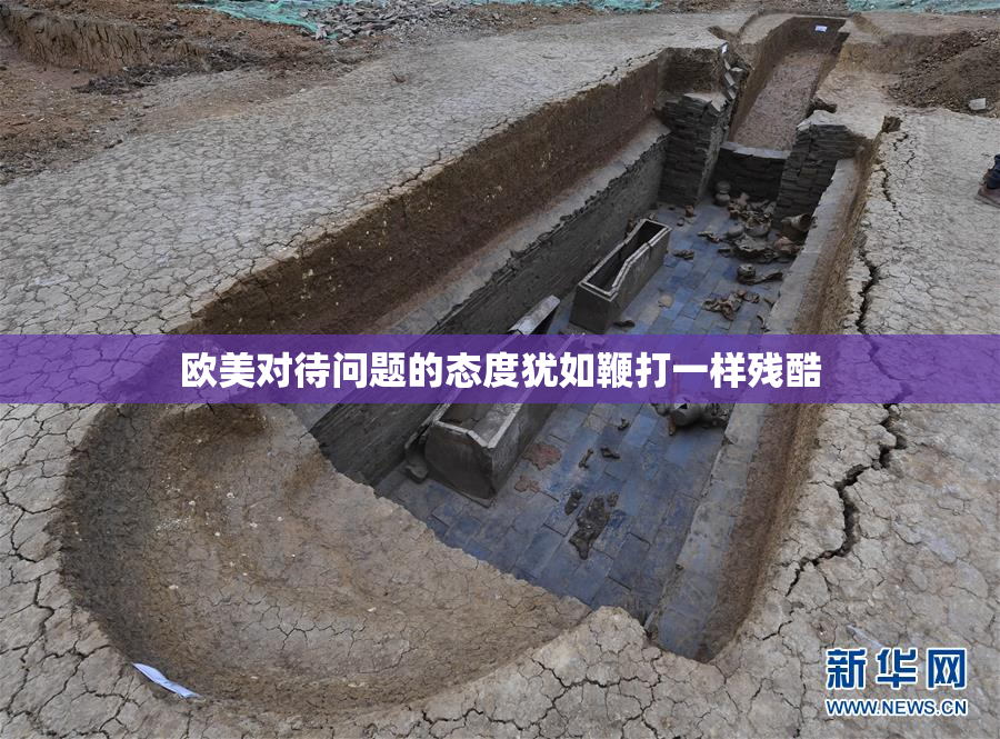 欧美对待问题的态度犹如鞭打一样残酷