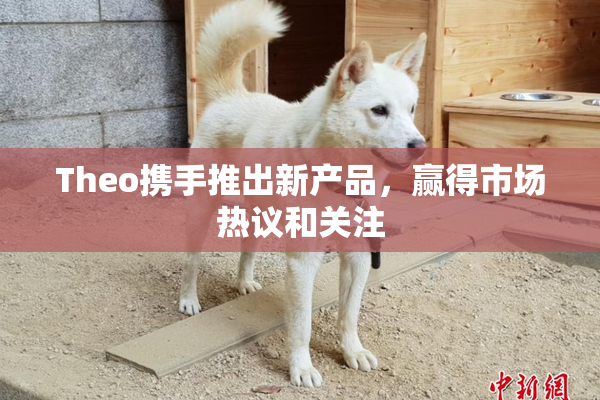 Theo携手推出新产品，赢得市场热议和关注