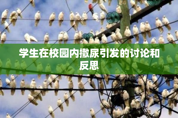 学生在校园内撒尿引发的讨论和反思