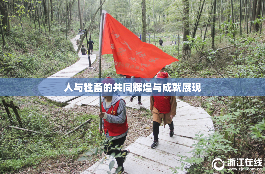 人与牲畜的共同辉煌与成就展现