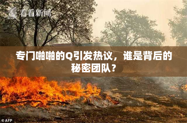 专门啪啪的Q引发热议，谁是背后的秘密团队？