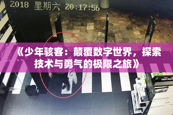 《少年骇客：颠覆数字世界，探索技术与勇气的极限之旅》