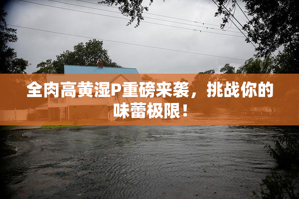 全肉高黄湿P重磅来袭，挑战你的味蕾极限！