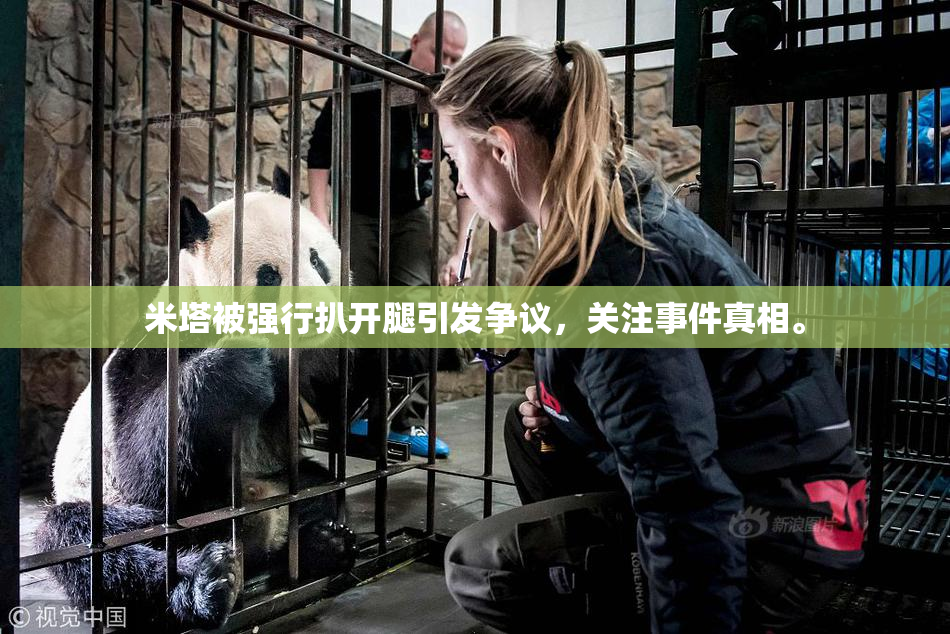 米塔被强行扒开腿引发争议，关注事件真相。
