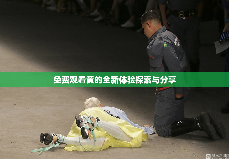 免费观看黄的全新体验探索与分享