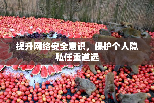 提升网络安全意识，保护个人隐私任重道远