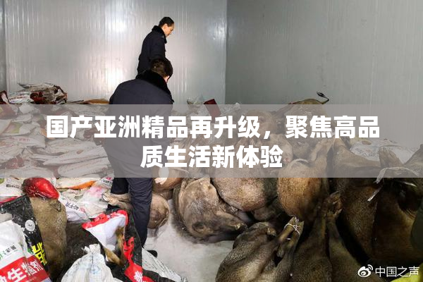 国产亚洲精品再升级，聚焦高品质生活新体验