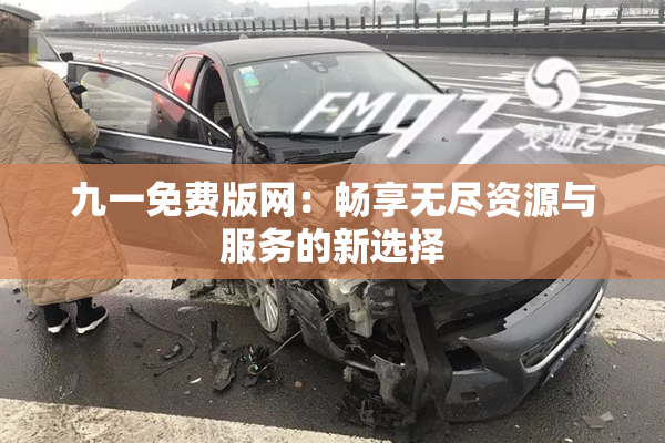 九一免费版网：畅享无尽资源与服务的新选择