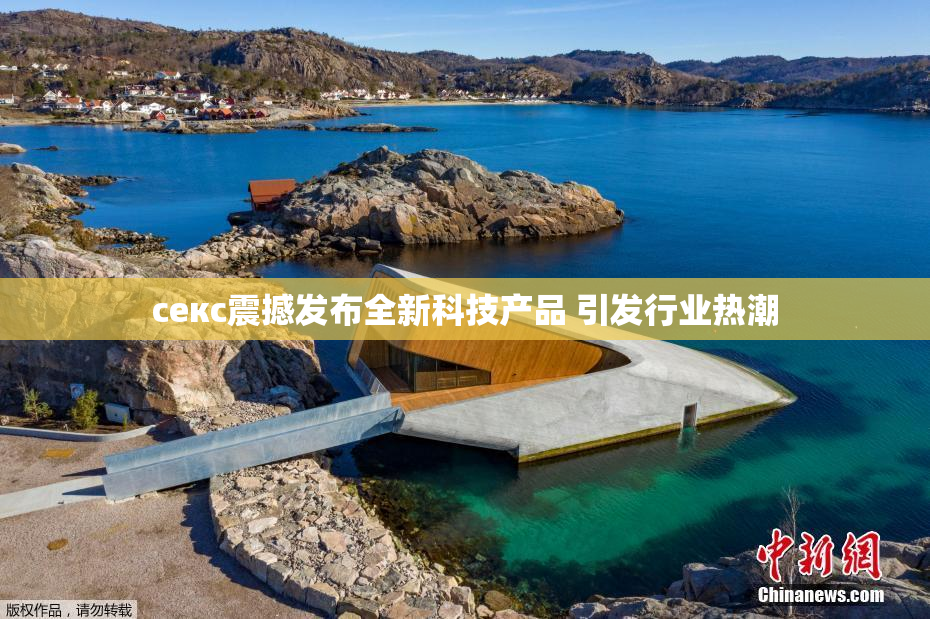 ceкс震撼发布全新科技产品 引发行业热潮