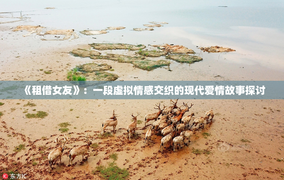 《租借女友》：一段虚拟情感交织的现代爱情故事探讨