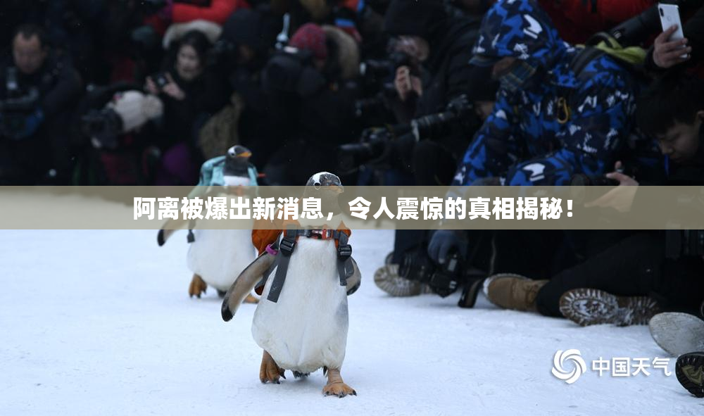 阿离被爆出新消息，令人震惊的真相揭秘！