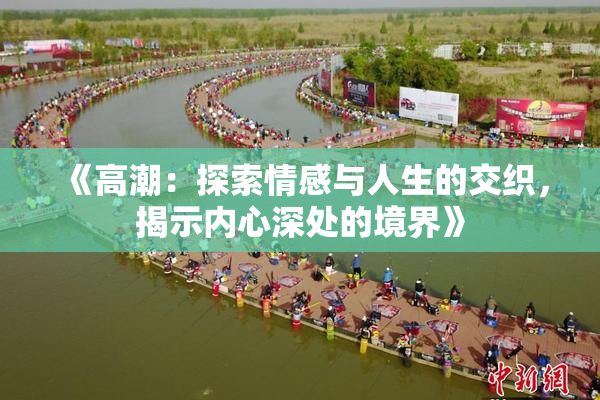 《高潮：探索情感与人生的交织，揭示内心深处的境界》