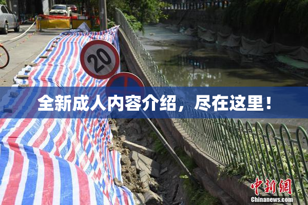 全新成人内容介绍，尽在这里！