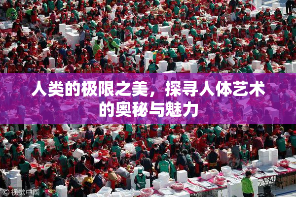 人类的极限之美，探寻人体艺术的奥秘与魅力