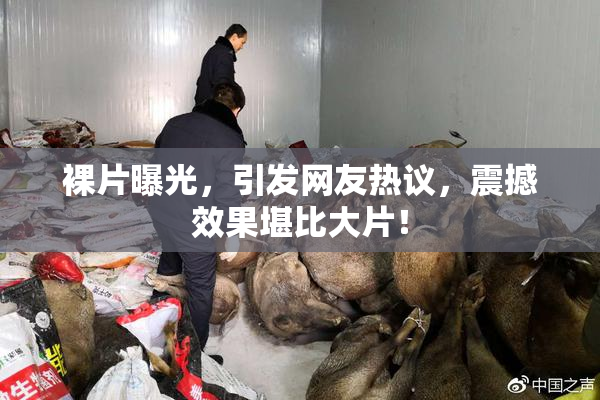 裸片曝光，引发网友热议，震撼效果堪比大片！