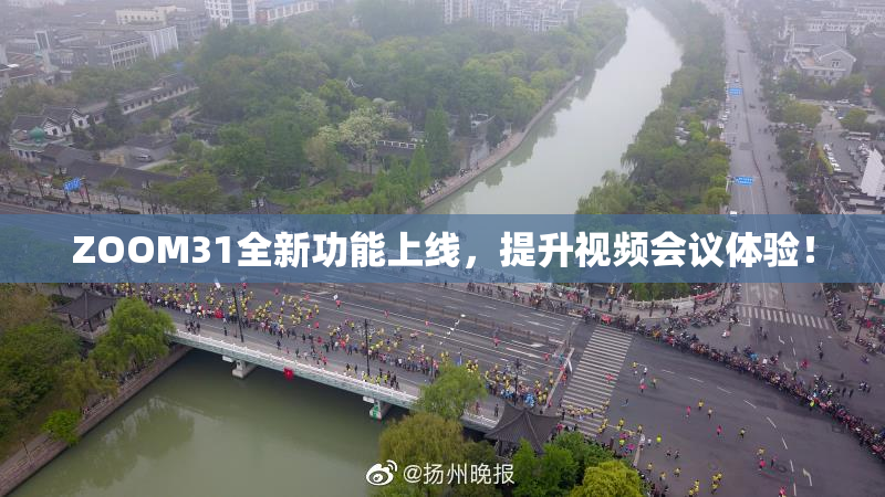 ZOOM31全新功能上线，提升视频会议体验！