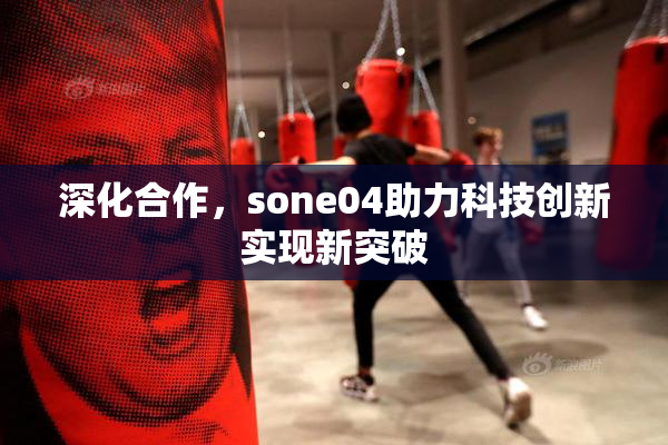 深化合作，sone04助力科技创新实现新突破