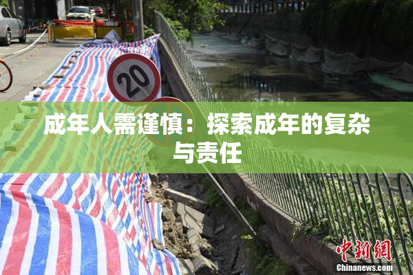 成年人需谨慎：探索成年的复杂与责任