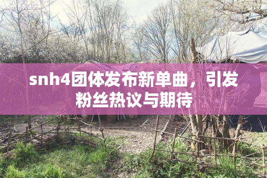 snh4团体发布新单曲，引发粉丝热议与期待
