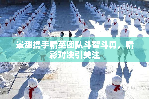 景甜携手精英团队斗智斗勇，精彩对决引关注