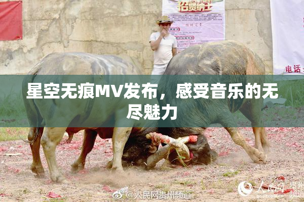 星空无痕MV发布，感受音乐的无尽魅力