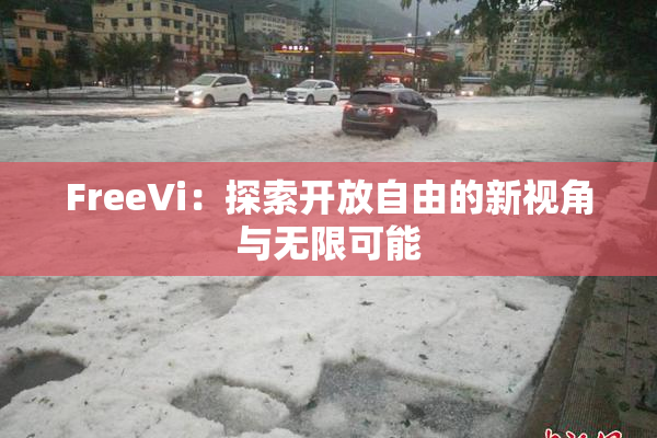 FreeVi：探索开放自由的新视角与无限可能
