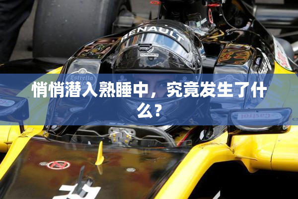 悄悄潜入熟睡中，究竟发生了什么？