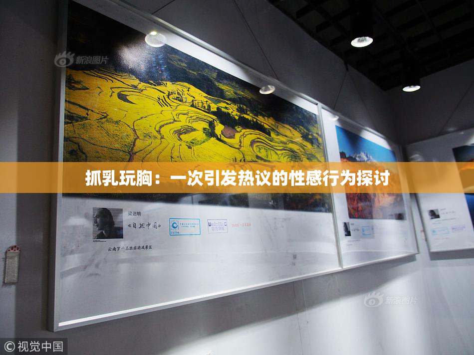 抓乳玩胸：一次引发热议的性感行为探讨