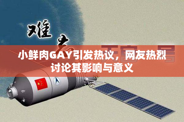 小鲜肉GAY引发热议，网友热烈讨论其影响与意义