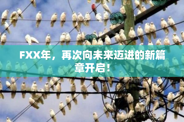 FXX年，再次向未来迈进的新篇章开启！