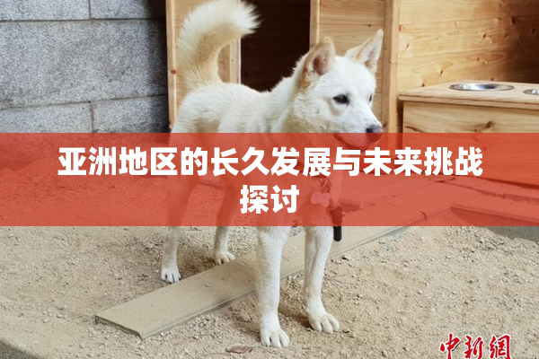 亚洲地区的长久发展与未来挑战探讨