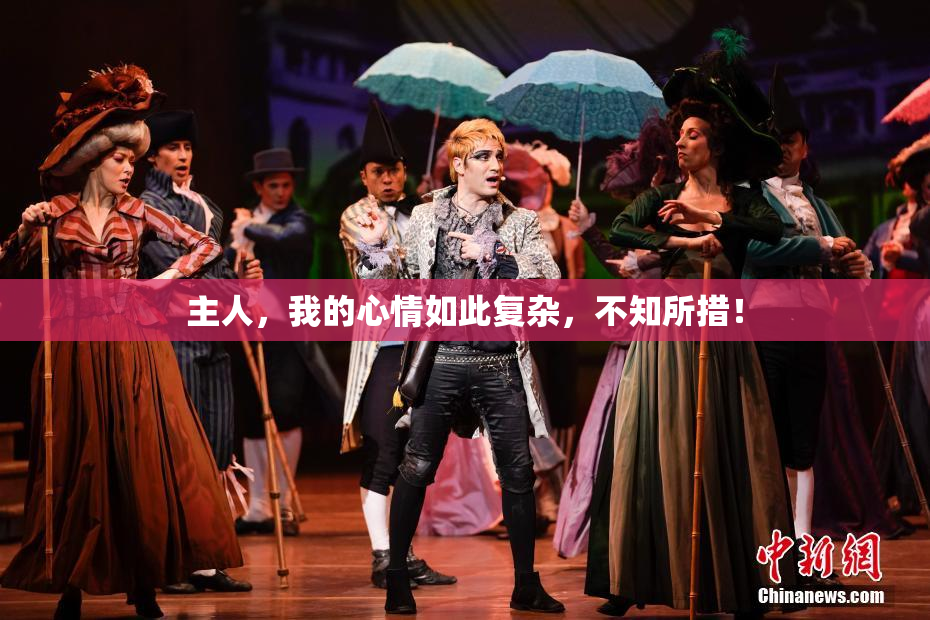主人，我的心情如此复杂，不知所措！
