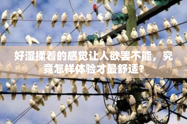 好湿揉着的感觉让人欲罢不能，究竟怎样体验才最舒适？