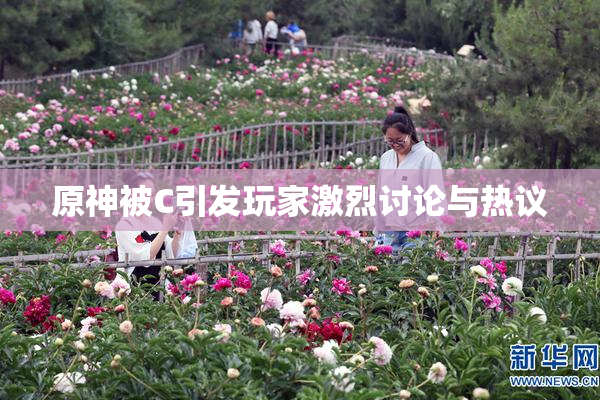 原神被C引发玩家激烈讨论与热议