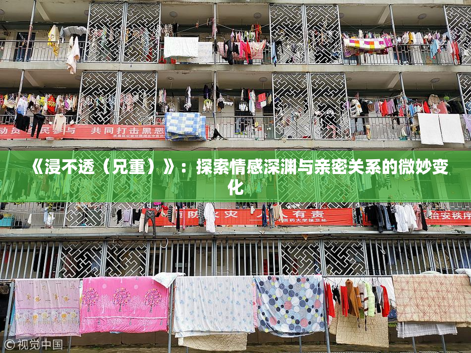 《浸不透（兄重）》：探索情感深渊与亲密关系的微妙变化