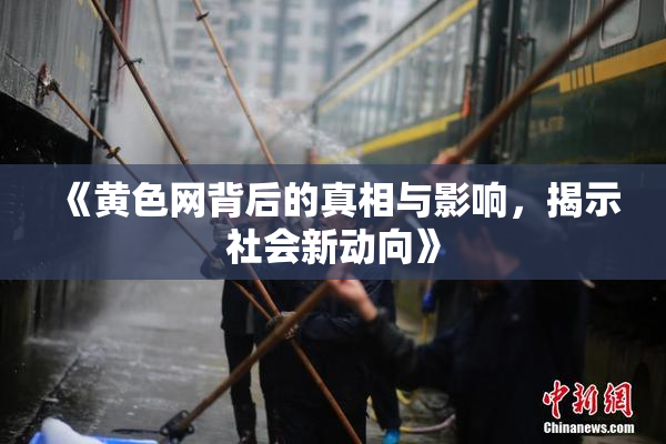 《黄色网背后的真相与影响，揭示社会新动向》