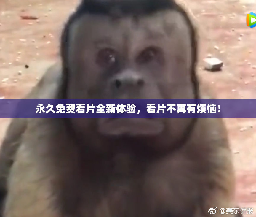 永久免费看片全新体验，看片不再有烦恼！