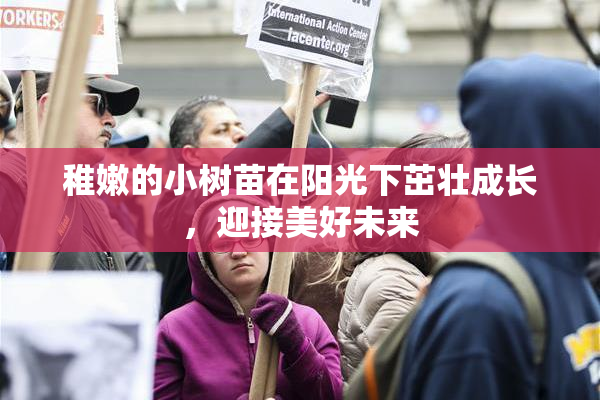 稚嫩的小树苗在阳光下茁壮成长，迎接美好未来