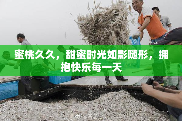 蜜桃久久，甜蜜时光如影随形，拥抱快乐每一天