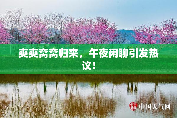 爽爽窝窝归来，午夜闲聊引发热议！