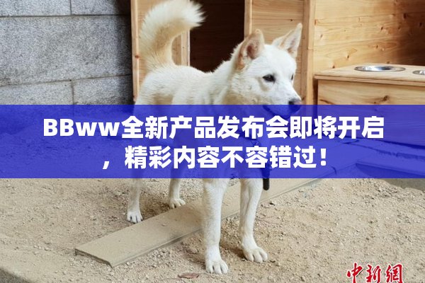 BBww全新产品发布会即将开启，精彩内容不容错过！