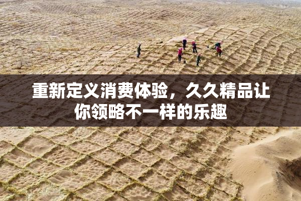 重新定义消费体验，久久精品让你领略不一样的乐趣